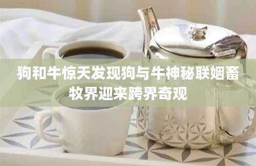 狗和牛惊天发现狗与牛神秘联姻畜牧界迎来跨界奇观
