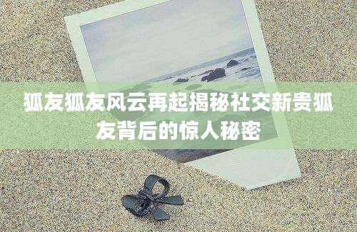 狐友狐友风云再起揭秘社交新贵狐友背后的惊人秘密