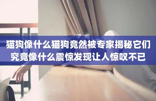 猫狗像什么猫狗竟然被专家揭秘它们究竟像什么震惊发现让人惊叹不已