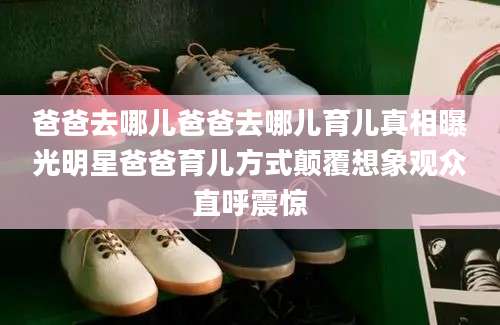 爸爸去哪儿爸爸去哪儿育儿真相曝光明星爸爸育儿方式颠覆想象观众直呼震惊