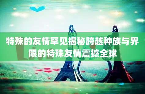 特殊的友情罕见揭秘跨越种族与界限的特殊友情震撼全球