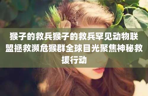 猴子的救兵猴子的救兵罕见动物联盟拯救濒危猴群全球目光聚焦神秘救援行动