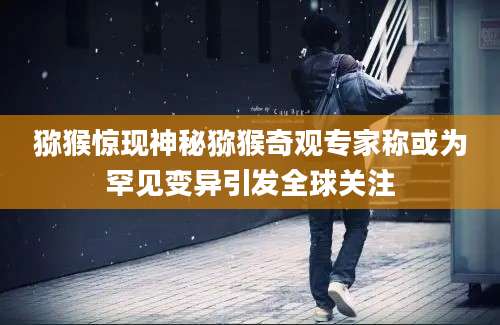 猕猴惊现神秘猕猴奇观专家称或为罕见变异引发全球关注