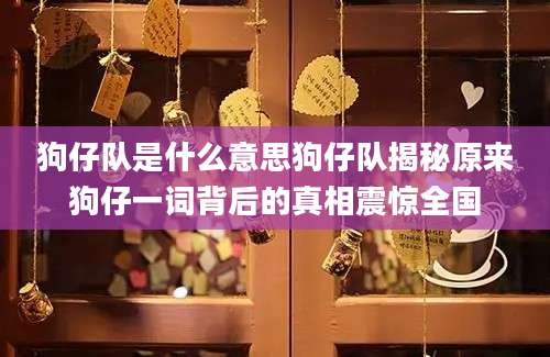 狗仔队是什么意思狗仔队揭秘原来狗仔一词背后的真相震惊全国