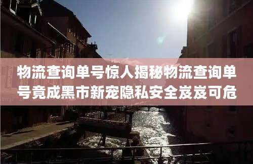 物流查询单号惊人揭秘物流查询单号竟成黑市新宠隐私安全岌岌可危