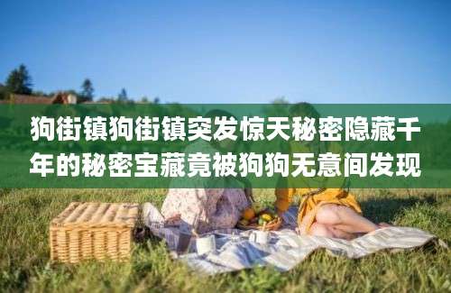 狗街镇狗街镇突发惊天秘密隐藏千年的秘密宝藏竟被狗狗无意间发现