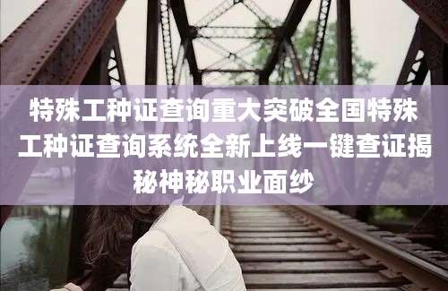 特殊工种证查询重大突破全国特殊工种证查询系统全新上线一键查证揭秘神秘职业面纱