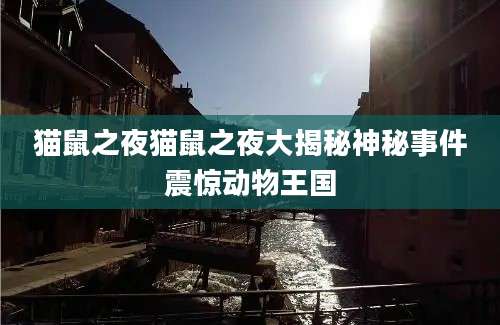 猫鼠之夜猫鼠之夜大揭秘神秘事件震惊动物王国