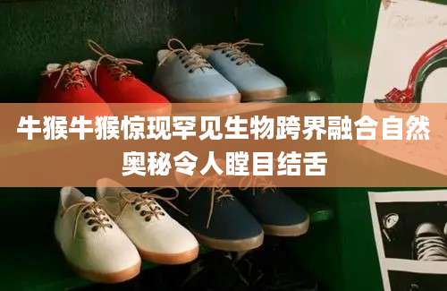 牛猴牛猴惊现罕见生物跨界融合自然奥秘令人瞠目结舌