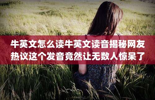 牛英文怎么读牛英文读音揭秘网友热议这个发音竟然让无数人惊呆了