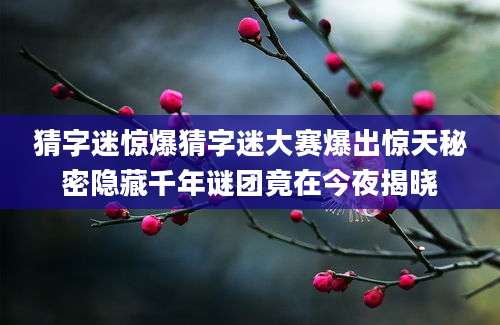猜字迷惊爆猜字迷大赛爆出惊天秘密隐藏千年谜团竟在今夜揭晓