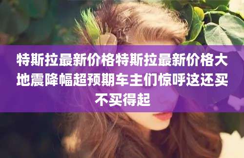 特斯拉最新价格特斯拉最新价格大地震降幅超预期车主们惊呼这还买不买得起