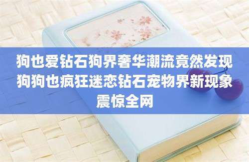 狗也爱钻石狗界奢华潮流竟然发现狗狗也疯狂迷恋钻石宠物界新现象震惊全网