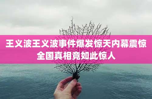 王义波王义波事件爆发惊天内幕震惊全国真相竟如此惊人
