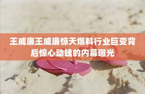 王威廉王威廉惊天爆料行业巨变背后惊心动魄的内幕曝光