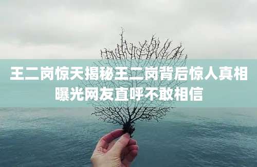 王二岗惊天揭秘王二岗背后惊人真相曝光网友直呼不敢相信