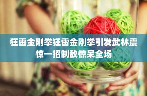 狂雷金刚拳狂雷金刚拳引发武林震惊一招制敌惊呆全场
