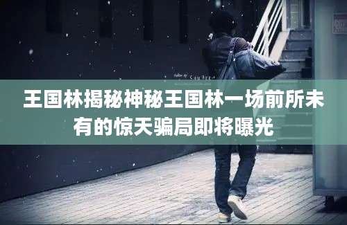 王国林揭秘神秘王国林一场前所未有的惊天骗局即将曝光