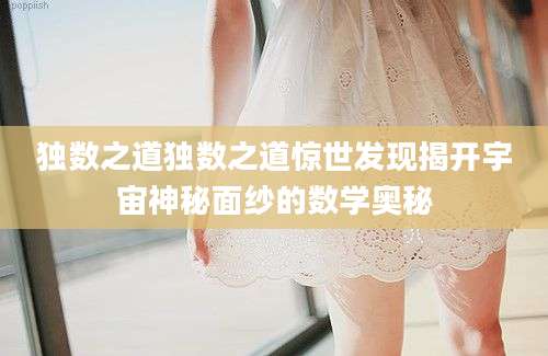 独数之道独数之道惊世发现揭开宇宙神秘面纱的数学奥秘