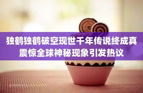 独鹤独鹤破空现世千年传说终成真震惊全球神秘现象引发热议