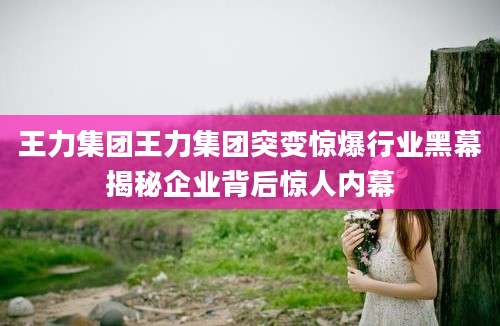 王力集团王力集团突变惊爆行业黑幕揭秘企业背后惊人内幕