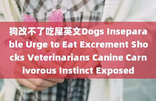 狗改不了吃屎英文Dogs Inseparable Urge to Eat Excrement Shocks Veterinarians Canine Carnivorous Instinct Expo