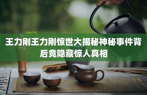 王力刚王力刚惊世大揭秘神秘事件背后竟隐藏惊人真相