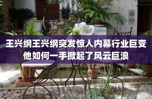 王兴纲王兴纲突发惊人内幕行业巨变他如何一手掀起了风云巨浪