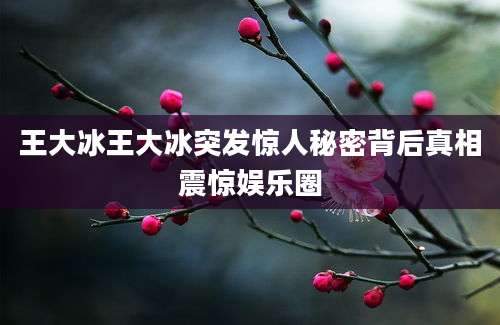 王大冰王大冰突发惊人秘密背后真相震惊娱乐圈