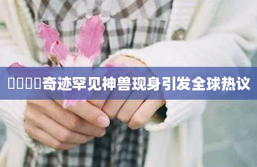 犇犇犇犇奇迹罕见神兽现身引发全球热议