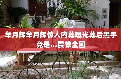 牟月辉牟月辉惊人内幕曝光幕后黑手竟是...震惊全国