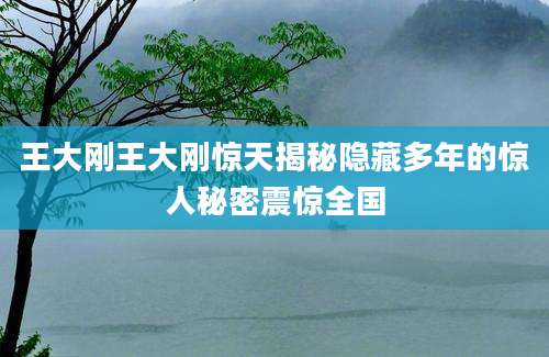 王大刚王大刚惊天揭秘隐藏多年的惊人秘密震惊全国
