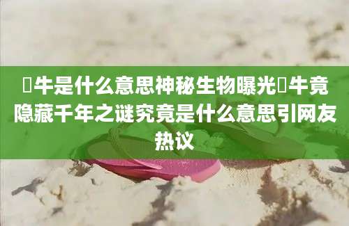 牤牛是什么意思神秘生物曝光牤牛竟隐藏千年之谜究竟是什么意思引网友热议