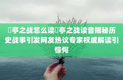 猇亭之战怎么读猇亭之战读音揭秘历史战事引发网友热议专家权威解读引惊愕