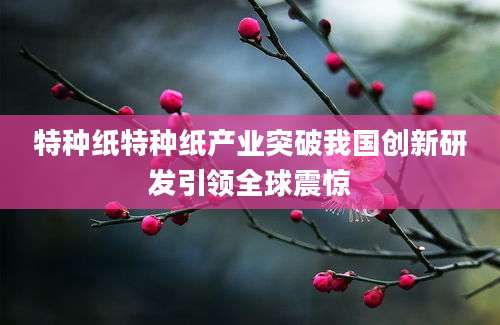 特种纸特种纸产业突破我国创新研发引领全球震惊