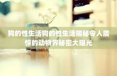 狗的性生活狗的性生活揭秘令人震惊的动物界秘密大曝光