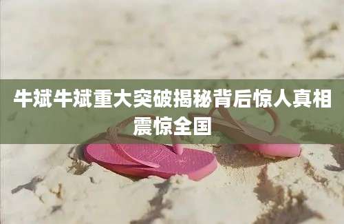 牛斌牛斌重大突破揭秘背后惊人真相震惊全国