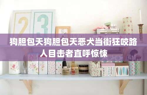 狗胆包天狗胆包天恶犬当街狂咬路人目击者直呼惊悚