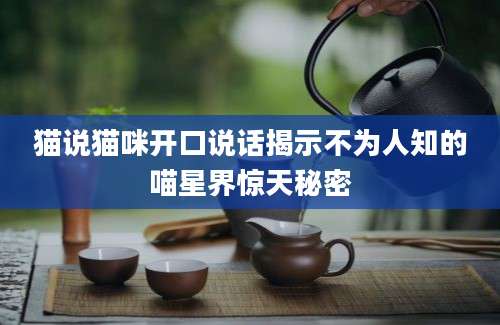 猫说猫咪开口说话揭示不为人知的喵星界惊天秘密