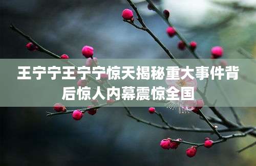 王宁宁王宁宁惊天揭秘重大事件背后惊人内幕震惊全国