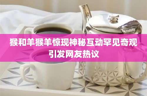 猴和羊猴羊惊现神秘互动罕见奇观引发网友热议