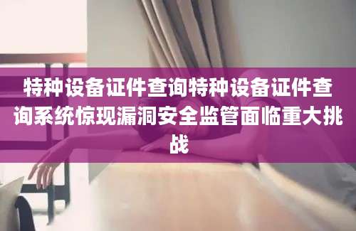 特种设备证件查询特种设备证件查询系统惊现漏洞安全监管面临重大挑战