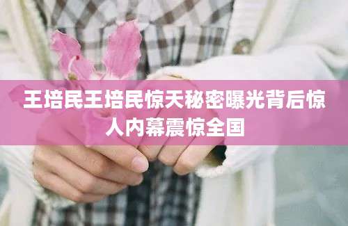 王培民王培民惊天秘密曝光背后惊人内幕震惊全国