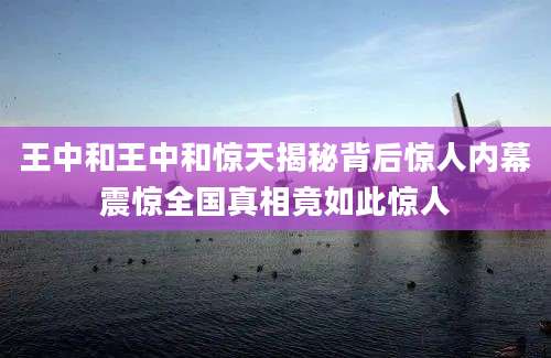 王中和王中和惊天揭秘背后惊人内幕震惊全国真相竟如此惊人