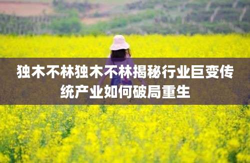 独木不林独木不林揭秘行业巨变传统产业如何破局重生