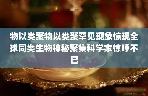 物以类聚物以类聚罕见现象惊现全球同类生物神秘聚集科学家惊呼不已