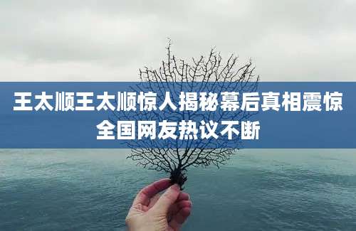 王太顺王太顺惊人揭秘幕后真相震惊全国网友热议不断