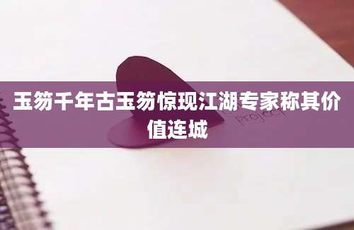 玉笏千年古玉笏惊现江湖专家称其价值连城