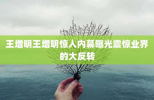 王增明王增明惊人内幕曝光震惊业界的大反转
