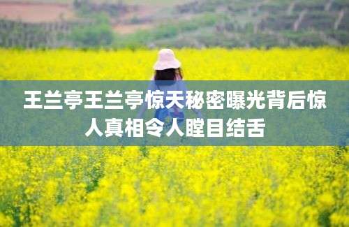 王兰亭王兰亭惊天秘密曝光背后惊人真相令人瞠目结舌